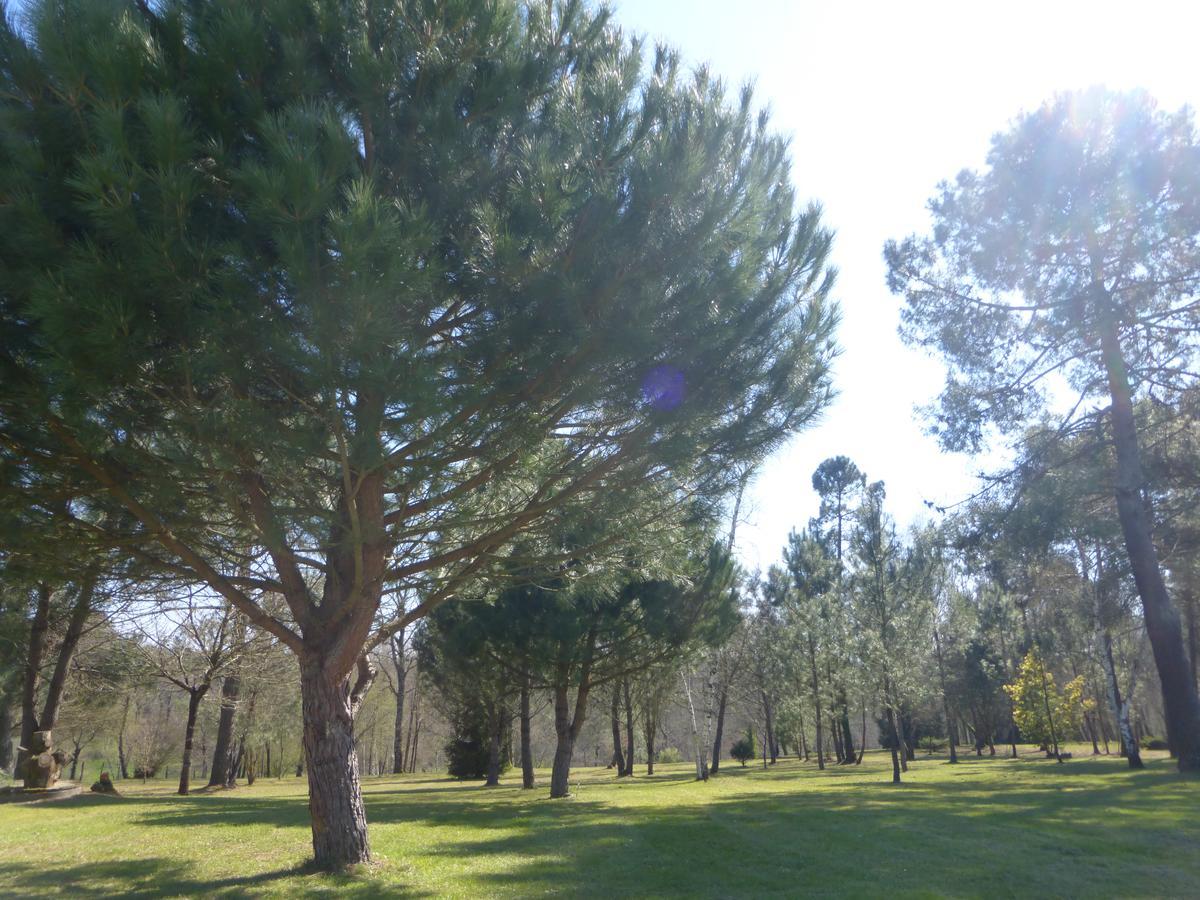 Gite Les Pins Perdus Saint-Ciers-d'Abzac ภายนอก รูปภาพ